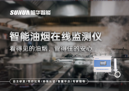 智能油烟在线监测仪：看得见的油烟，管得住的安心